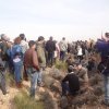 marche del jarama119